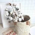 thumbnail image 4 of Cotton Stems Farmhouse Style Display Filler - Floral Decoration, 4 of 8