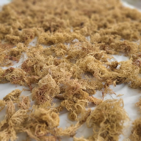 Swahili Sea Moss | Organic | Wildcrafted| Ocean Harvested Raw GOLDS Sea Moss 2 oz. from Tanzania