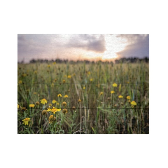 Giuseppe Torre 'Flowers In The Sunset' Wood Slat Art 12x16