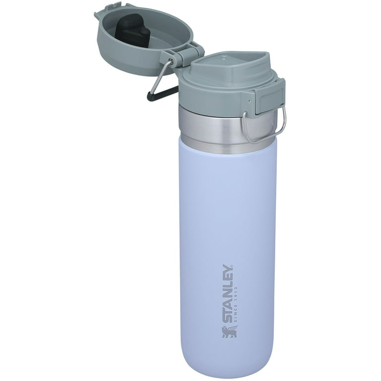STANLEY 24 oz Lilac Stainless Steel Water Bottle with Wide Mouth and  Flip-Top Lid 
