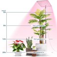 thumbnail image 3 of Hyasfey Telescopic Grow Light with Auto On/Off Timer Height Adjustable Full Spectrum LED Plant Lamp Growing Lamp with 3 Dimmable Brightness for Indoor Plants, 3 of 8