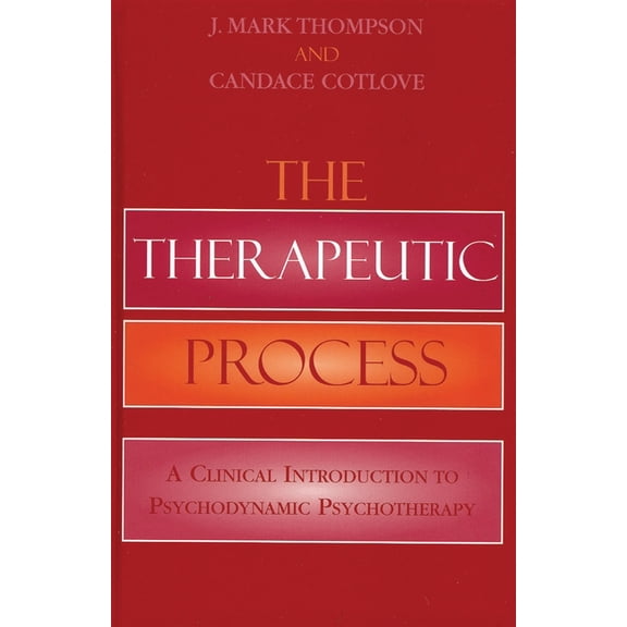 Therapeutic Process: A Clinical Introduction to Psychodynamic Psychotherapy, (Paperback)