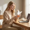 thumbnail image 6 of 7 Inch Desk Goose Desktop Goose Statue Magnetic Goose Key Holder Funny Goose Figurine for Office Table or Home Decorations Idea, 6 of 6