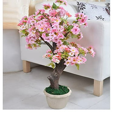 50  Rare Cherry Blossoms Seeds for Planting - Dwarf Pink Sakura Weeping Cherry Apple Blossom Bonsai Tree Seeds for Garden/Indoor/Outdoor