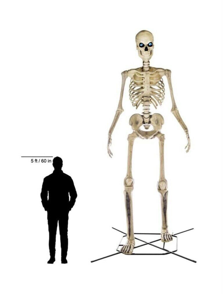 Home Accents Holiday 12 ft Giant-Sized Skeleton - Walmart.com