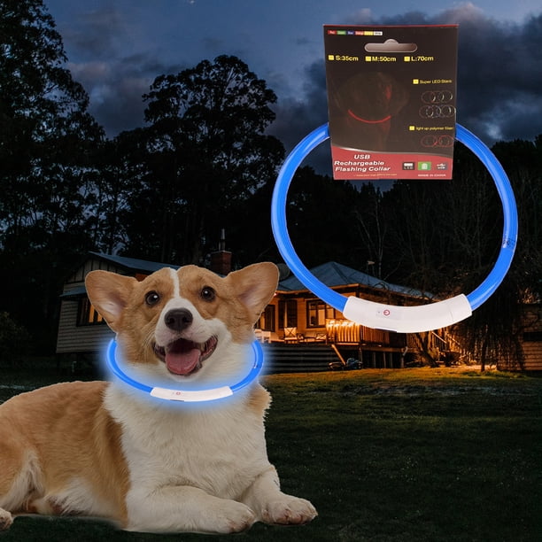 El collar de perro del LED enciende para arriba el collar de perro que brilla intensamente que destella recargable por USB de los collares de perro