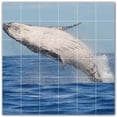 thumbnail image 1 of Picture-Tiles.com: Whale Ceramic Tile Wall Mural WAL501192-66XL. 72"W x 72"H using (36) 12" x 12" Ceramic Tiles-Satin Finish, 1 of 3