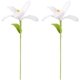 thumbnail image 1 of 2 piezas de flores artificiales de lirio de ganchillo hechas a mano, ramo de flores de lirio de algodón tejido con alambre de hierro, ramo de flores falsas de lirio blanco de ganchillo., 1 of 6