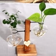 thumbnail image 4 of Jarrón de cristal hidropónico con diseño creativo de amor, conjunto de adornos florales de madera para sala de estar, planta, flores secas, recipiente transparente, botella, 4 of 5