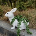 thumbnail image 6 of TerraHaven Cute Resin Flower Pots, Succulent Planter with Drainage Holes, Indoor/Outdoor Garden Decor, 6 of 8