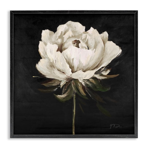 Stupell Industries Eclectic Pretty Delicate Bloom on Black Black Framed Giclee Art, 12 x 12, by Patricia Pinto