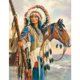 thumbnail image 1 of Pintura de diamante 5D Taladro redondo completo indios Imagen de Tmvgtek decoración de arte en el hogar, 1 of 9