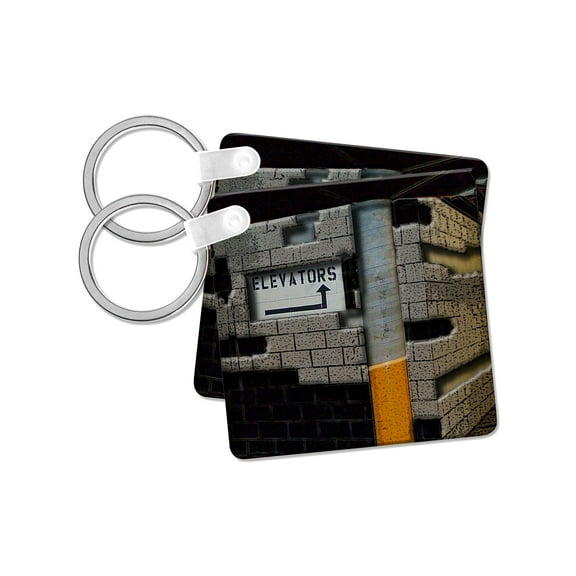 3dRose, The Elevator Sign in a Parking Garage Done in Different Textures and Layers, set of 2 Key Chains