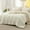 04 - Ivory, variant on Queen Size Comforter Set, Beige Soft Prewashed Bedding for All Seasons, 3 Pieces GentleSoft â„¢ Warm Down Alternative Bed Set, 1 Lightweight Comforter (90"x90") and 2 Pillowcases (20"x26")