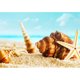 thumbnail image 1 of Taladro Pintura Diamante (DE0493) 5D DIY Kit de punto de cruz completo (Playa de arena-k534) 20X30cm FLhrweasw Nuevo, 1 of 1