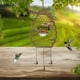 thumbnail image 3 of Buy 2 get 10% off Feeder Outdoor Garden Decoration Smart Bird Feeder, 3 of 5