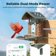 thumbnail image 3 of Comedero para aves Kiwibit con cámara solar 4K e identificación por IA, 3 of 9