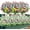 Mixcolor-8 Bundles, variant on Artificial Flowers Lifelike No Fade UV Resistant Fake Plastic Flowers Faux Plants for Hanging Planters Outside Porch Window Box Wedding Home Décor - Indoor/Outdoor Use