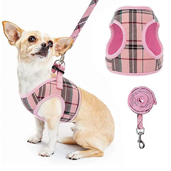 PUPTEcK Soft Mesh Small Dog Harness with Leash - Basic Plaid Padded Step-in chest Vest for Kitties, Puppy, Small Pets