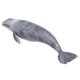 thumbnail image 4 of Animales Del Océano, Figura De Ballena, Figura De Vida Marina, Juguete Para Niños Para Juguetes Educativos Y De Juego De Roles Ccdes Otros, 4 of 8