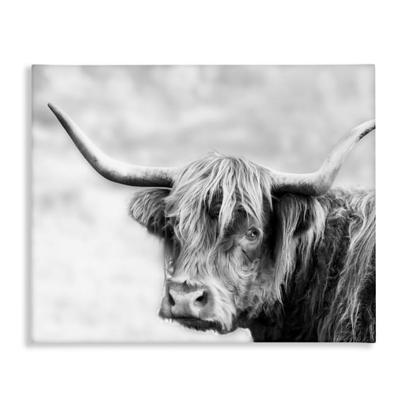 Stupell Industries Farmhouse Bold Country Cattle Black White Photography Wild Animal Canvas Art, 20 x 16, by Danita Delimont