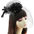 thumbnail image 1 of Fascinator Clip Veil: Fascinator Fascinator Fascinator Fascinator Fascinator, 1 of 9