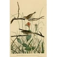 thumbnail image 2 of Vintage Apple Collection 13x18 Black Ornate Wood Framed with Double Matting Museum Art Print Titled - Savannah Finch, 2 of 4