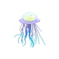 thumbnail image 2 of FastXmas Artificial Aquarium Jellyfish Decor, Floating Soft Jellyfish Fish Tank Decor, Clear Jellyfishwith Suction Cup Sways In Water for Aquarium(2.5*4.5in), 2 of 7