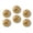 C2068, variant on Glass Refrigerator Magnet 6Pcs Magnetic Fridge Sticker,Decor for Kitchen,Whiteboard,Cabinet,Graceful Pattern Of Bird On Jasmine Flower Background