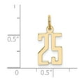 thumbnail image 2 of 14K Yellow Gold Polished Finish Small Size Elongated Shape Number 25 Charm Pendant, 2 of 2