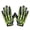 Green-XL, variant on Adult Skiing Gloves with Skeleton Pattern Halloween Windproof Gloves for Teens Snowboarding Outdoor Sports Gloves