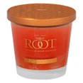 thumbnail image 1 of Root Candles Honeycomb Veriglass Scented Beeswax Blend Candle, Small, Pumpkin Spice, 1 of 2