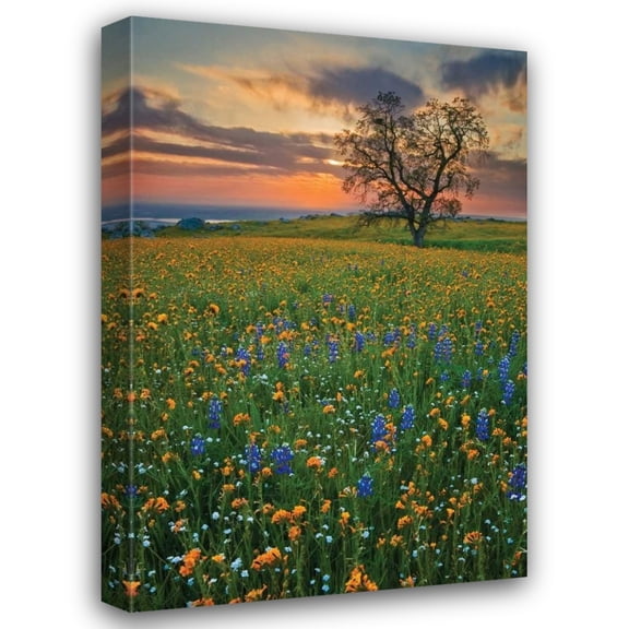 Mark Geistweite 13x18 Gallery Wrapped Canvas Wall Art Titled - Bear Mountain