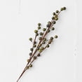 thumbnail image 3 of Factory Direct Craft Soft Sage Green Artificial Berry Stem 22 Inch, 12 Count for Floral Arrangements, 3 of 4