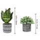 thumbnail image 2 of Set de plantas artificiales en maceta Winlyn Succulents Snake Plant x3, 2 of 9