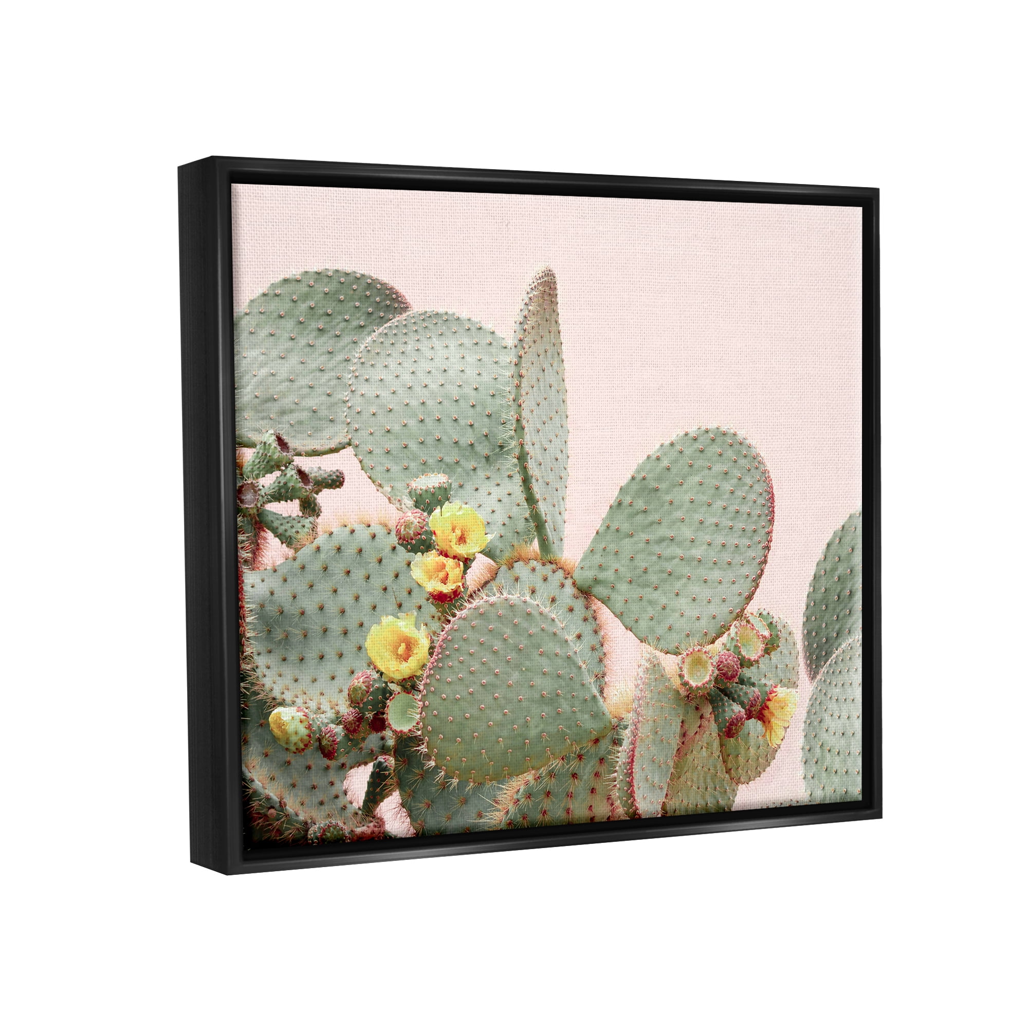Stupell Industries Cactus Flowers on Pink Botanical & Floral Photography Black Floater Framed Art Print Wall Art, 31 x 25