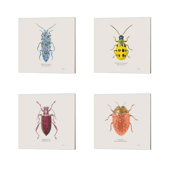 Metaverse James Wiens 'Adorning Coleoptera Sq Blue' Canvas Art (Set of 4)