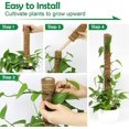 thumbnail image 5 of Coir Pole, 2pcs 40cm Monstera Plant Support, Moss Pole For Cheese Plant Indoor, 5 of 5