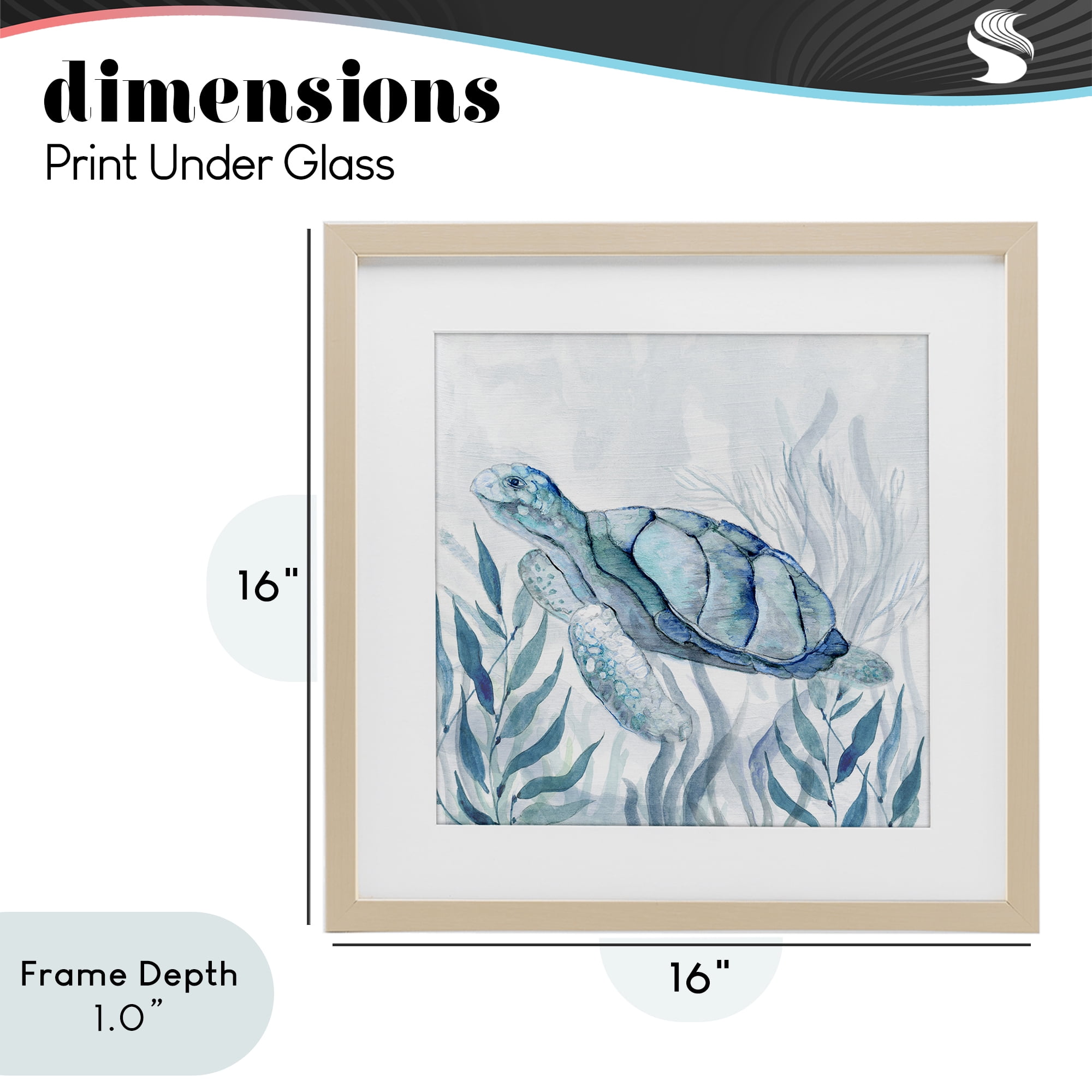 Stupell Industries Sea Turtle with Subtle Smile Birch Framed Print Under Glass, design by Janet Tava