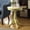 White, variant on Bowery Hill End Table in White