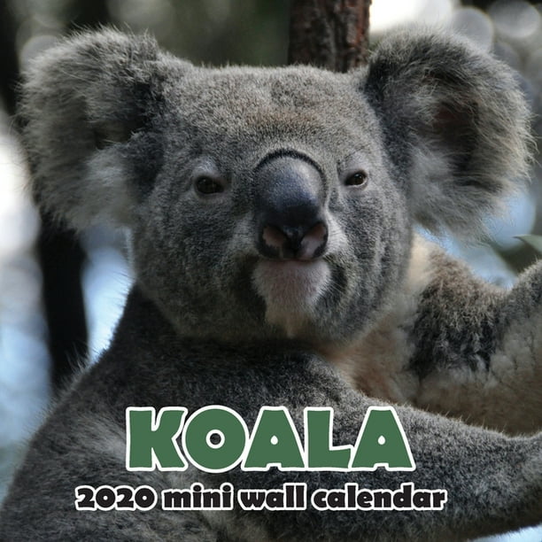 Koala 2020 Mini Wall Calendar (Paperback)