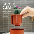 thumbnail image 3 of Boon Cacti Bottle Cleaning Brush Set, Terracotta, 3 of 6
