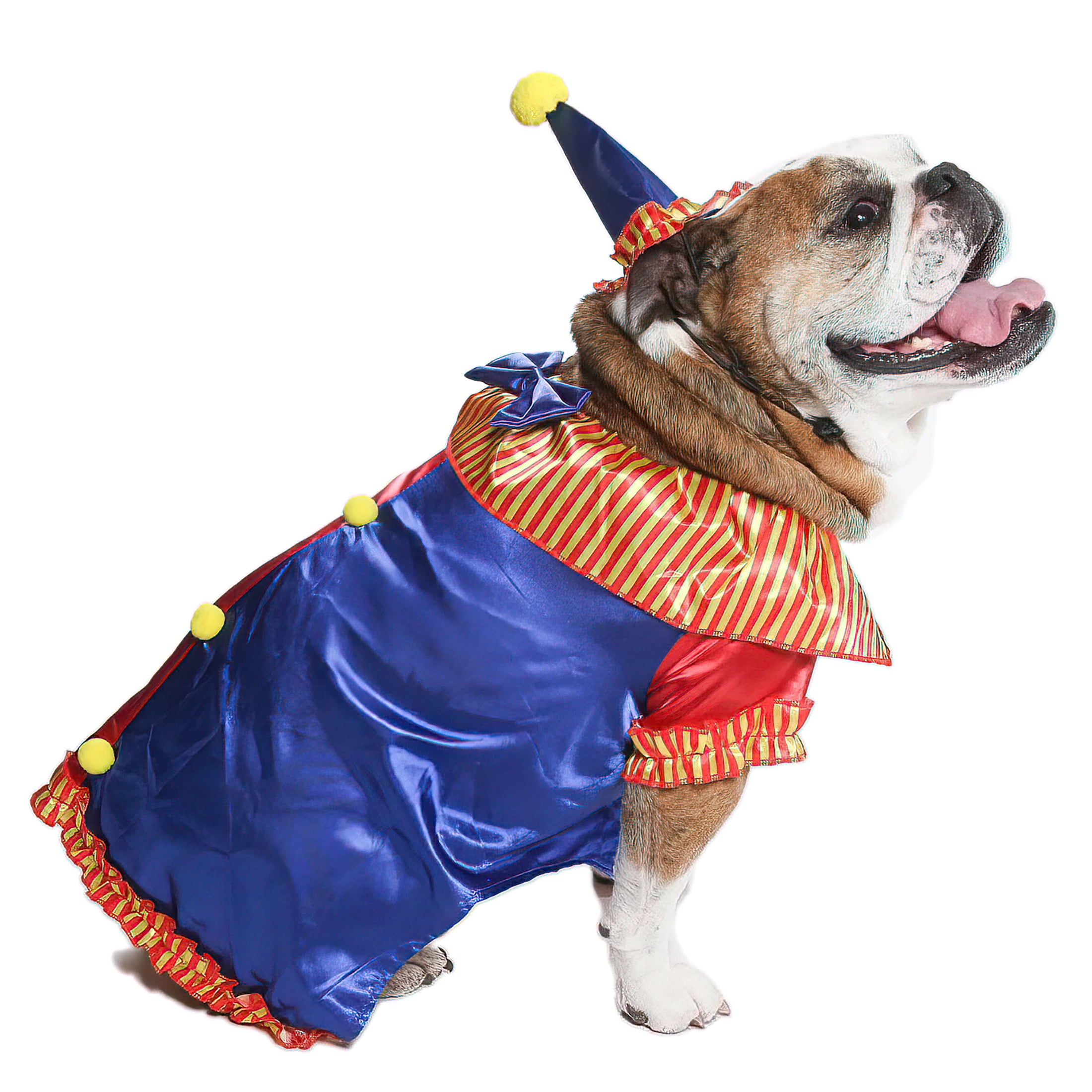 Vibrant Life Halloween Dog Costume and Cat Costume: Clown, Size Medium