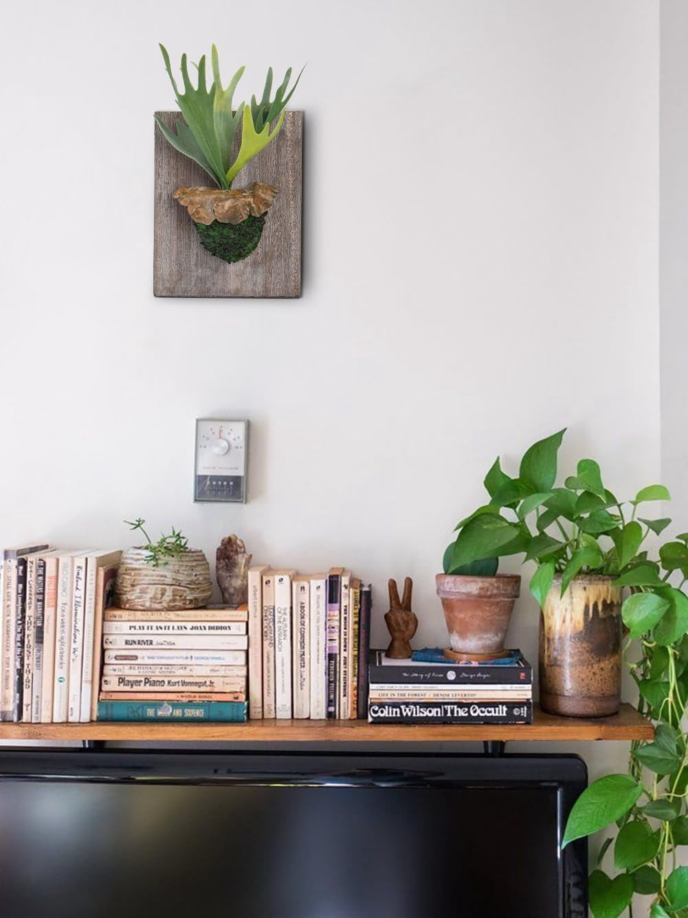 Artificial Plant Wall Decor Realistic Fake Wall Hanging Plants with Wooden Board Moss Faux Staghorn Fern Wall Plants for Home Indoor Art