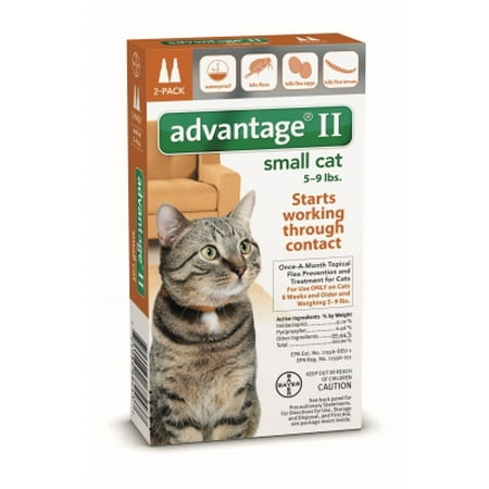Advantage Flea Control For Cats Walmart Advantage Flea Control For Cats Walmart