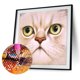 thumbnail image 1 of Cuadros Decorativos Kits de pintura de diamante 5D DIY Taladro redondo completo Mosaico de gato de cara grande (X635) Tmvgtek embutido en tela, 1 of 9