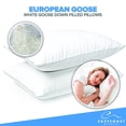 thumbnail image 3 of East Coast Bedding European White Goose Down Pillow Bed Pillows, King 2 Pack, Medium, 3 of 7
