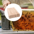 thumbnail image 2 of MOVTOTOP Bamboo Bee Tubes for Beehive Use Attracts Bees to Your Garden 24pcs Replacement Nesting Tubes, 2 of 7