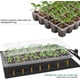 thumbnail image 3 of Bandeja germinadora MIXC de 5 paquetes con 200 celdas y domo, 3 of 6