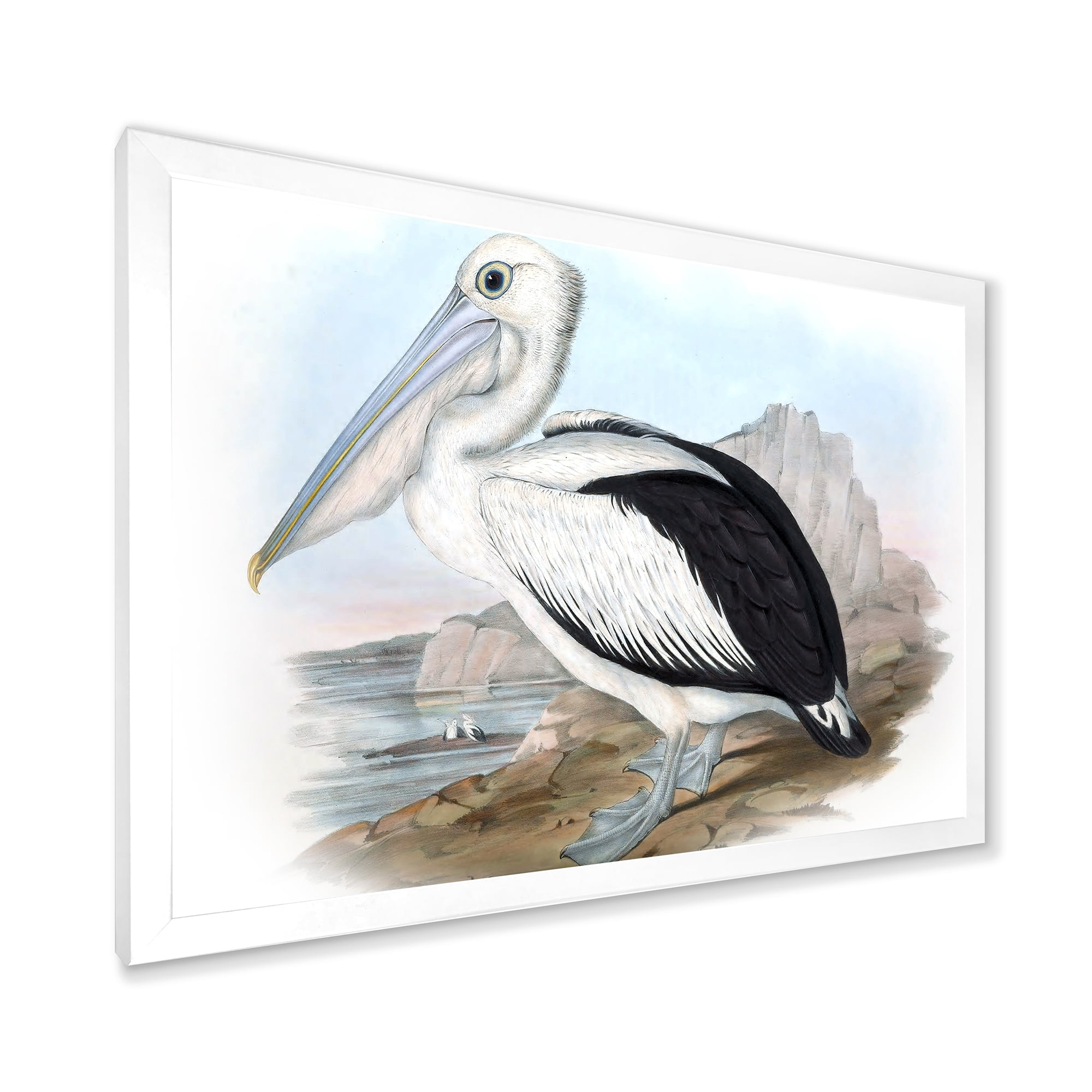 Designart 'Ancient Australian Birds VIII' Traditional Framed Art Print
